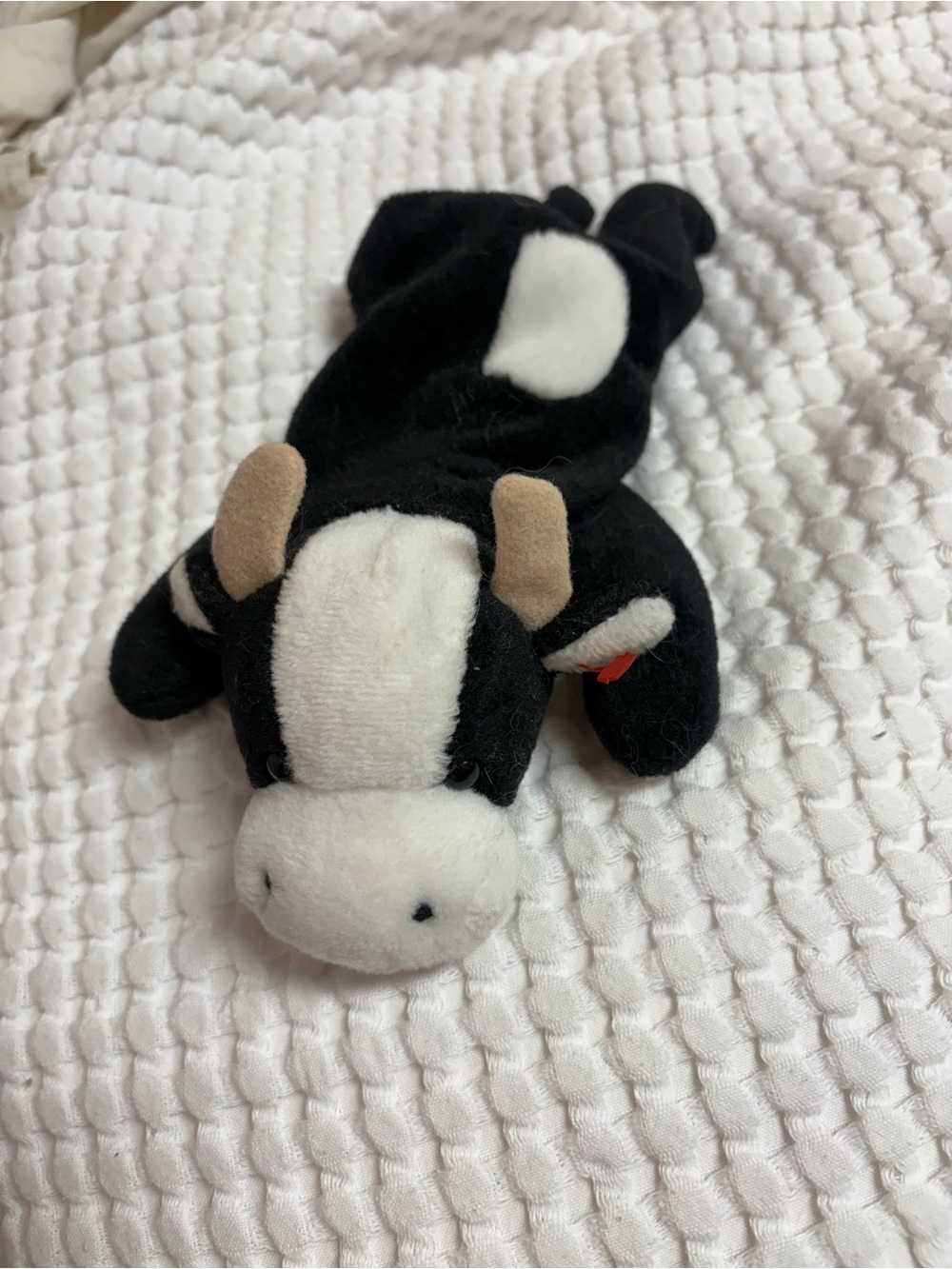 daisy the cow beanie baby